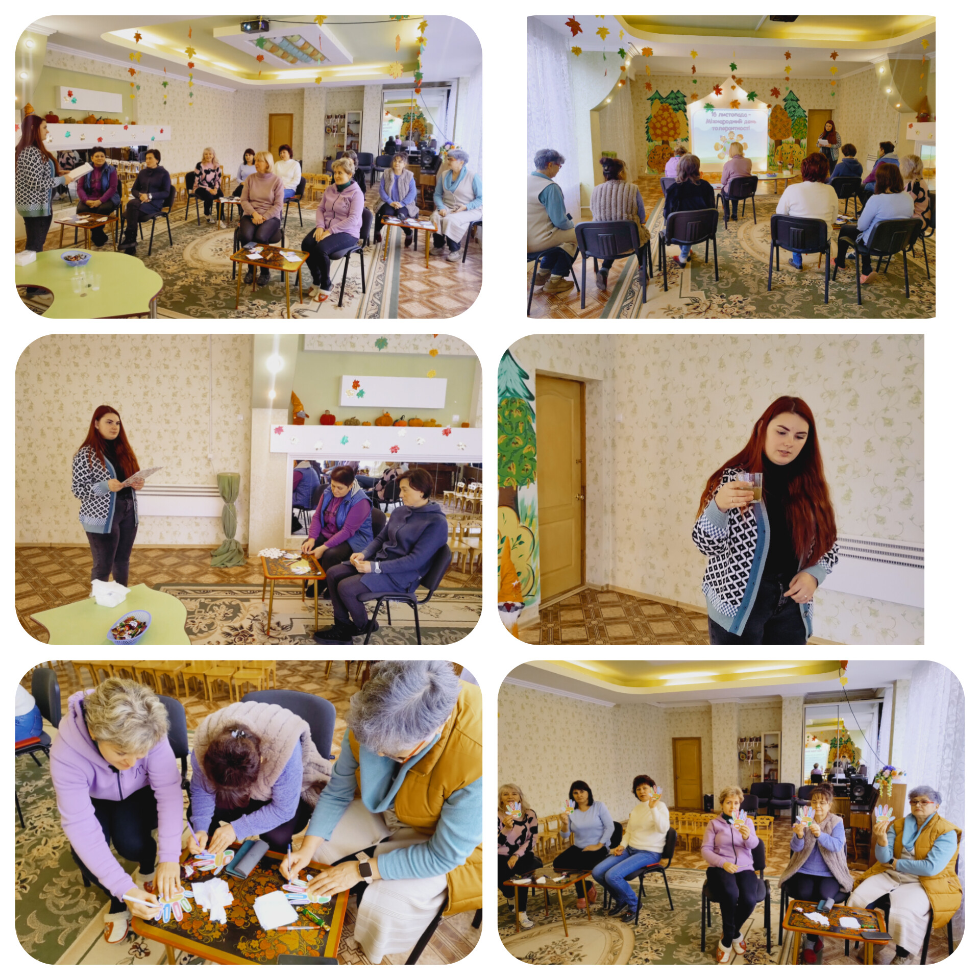 InShot_20241112_203834559